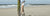 Womens Thongs